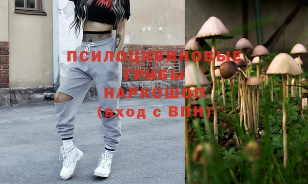 гидропоника Пестово