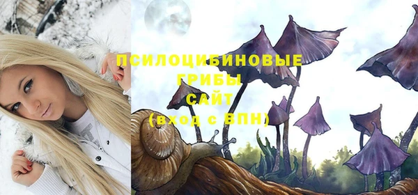 каннабис Покачи