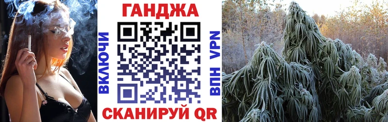 Купить закладки  Устюжна  Бошки Шишки планчик 